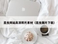 博罗昆虫网站高清照片素材（昆虫图片下载）