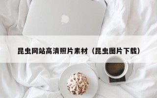 博罗昆虫网站高清照片素材（昆虫图片下载）